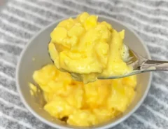スクランブルエッグの写真（撮影：キジカク）