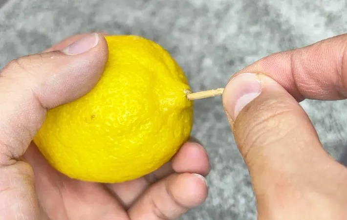 『爪楊枝を使ったレモンの搾り方』の写真（撮影：キジカク）