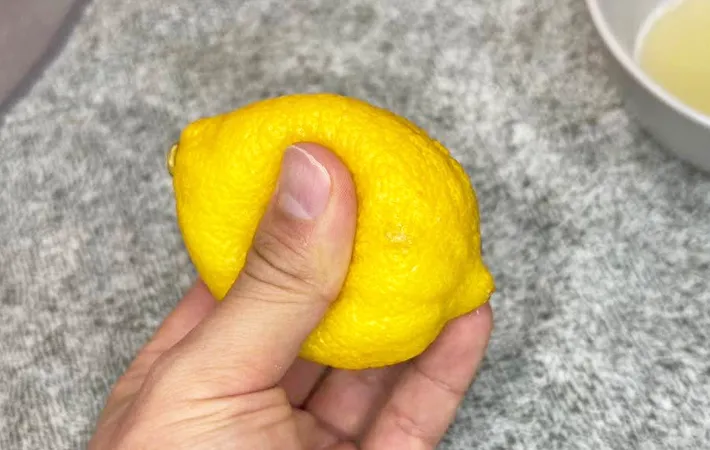 『爪楊枝を使ったレモンの搾り方』の写真（撮影：キジカク）