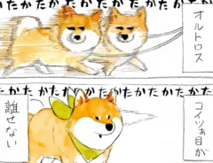 散歩中の柴犬を描いたエッセイ漫画の写真