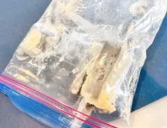 ジップロックの写真（撮影：キジカク）