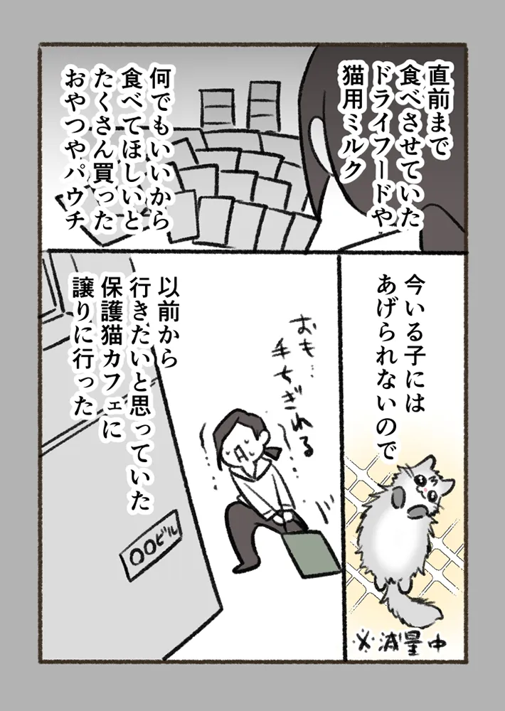 愛猫を巡る実話を描いたエッセイ漫画の写真