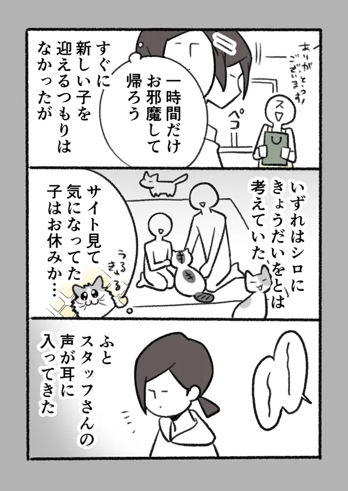 愛猫を巡る実話を描いたエッセイ漫画の写真