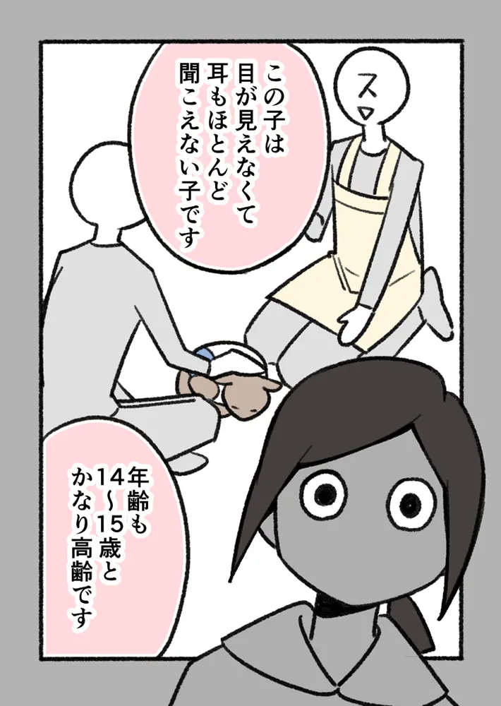 愛猫を巡る実話を描いたエッセイ漫画の写真