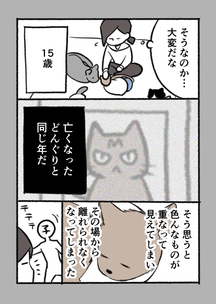 愛猫を巡る実話を描いたエッセイ漫画の写真