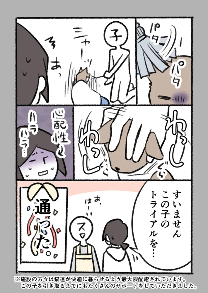 愛猫を巡る実話を描いたエッセイ漫画の写真