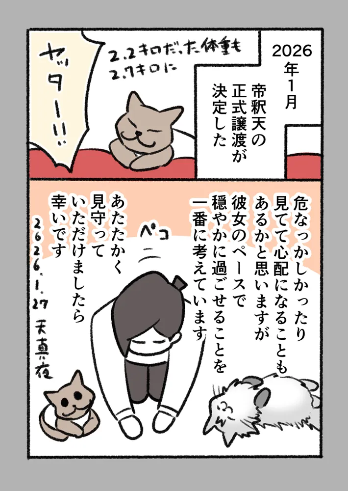 愛猫を巡る実話を描いたエッセイ漫画の写真