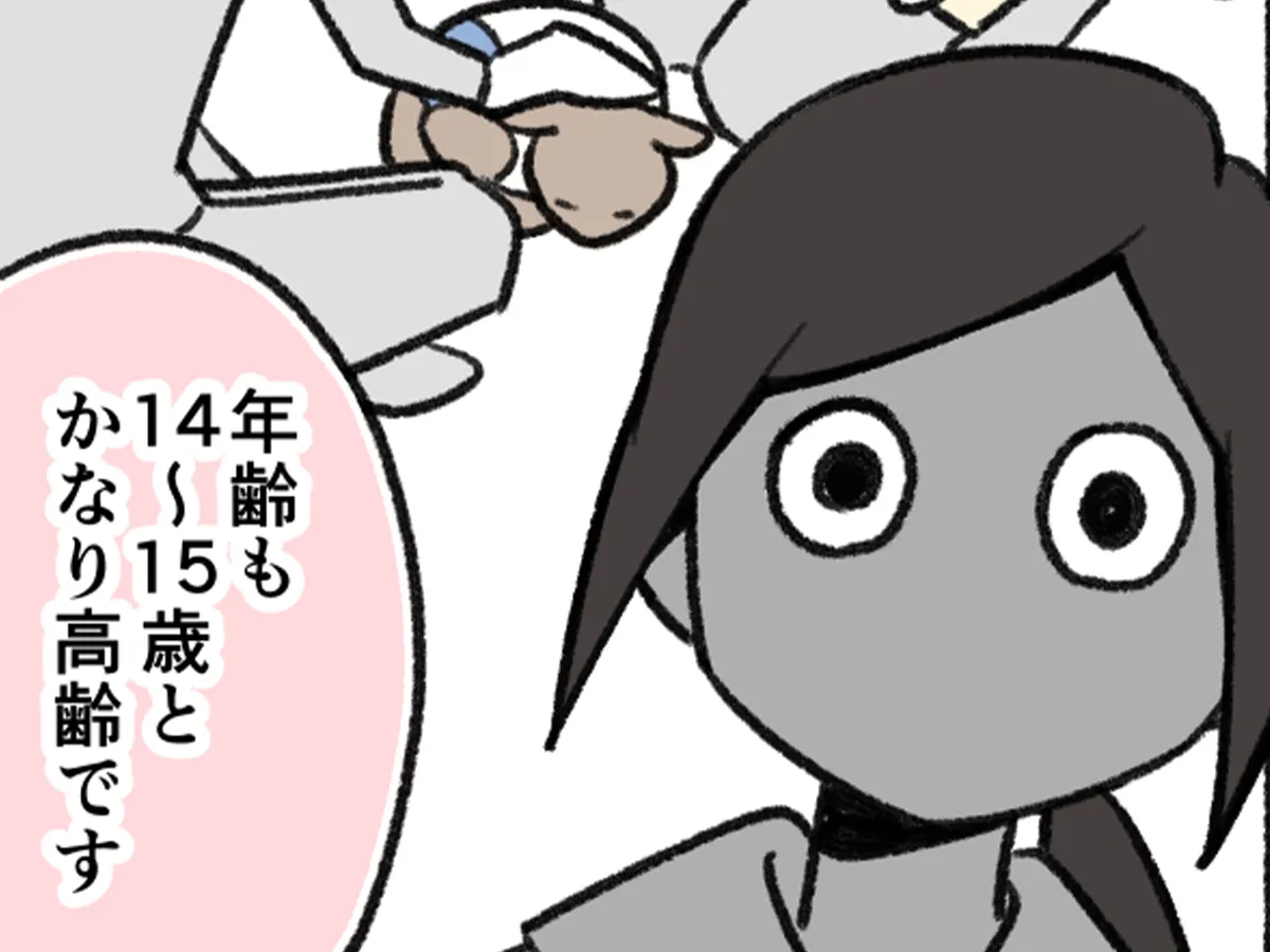 愛猫を巡る実話を描いたエッセイ漫画の写真