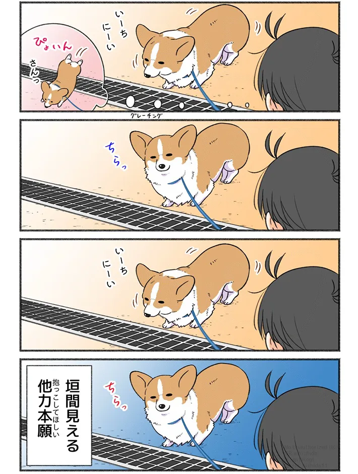 西田理英さんの漫画の画像