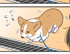 西田理英さんの漫画の画像