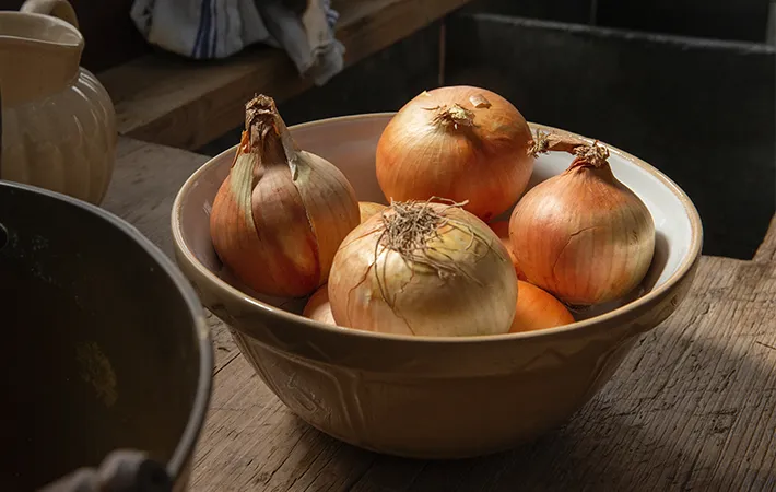 タマネギの写真