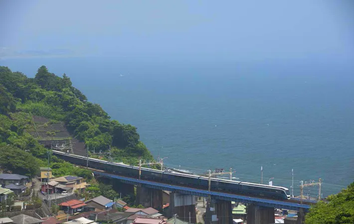 サフィール踊り子の写真