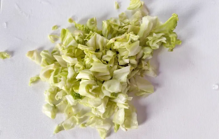 『レンジでお手軽！スコップ餃子』を作る写真（撮影：エニママ）