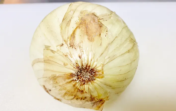 『新玉ねぎ』の写真（撮影：エニママ）