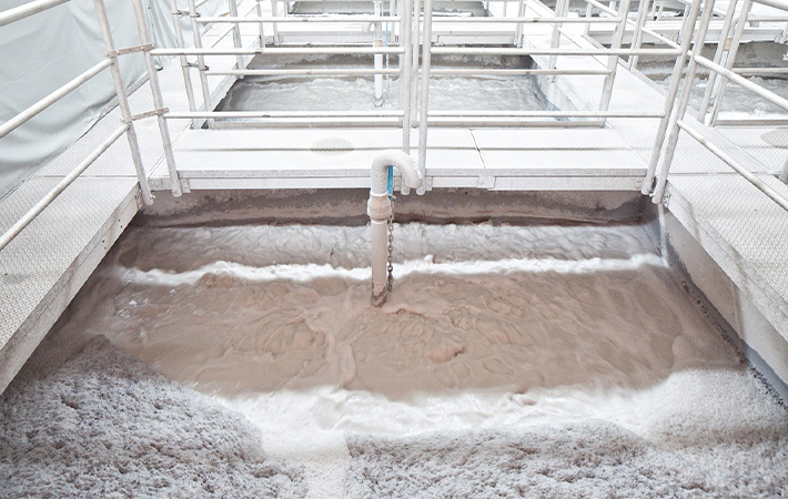 フローテーションの写真