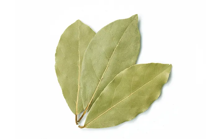 『ローレル』の葉の写真