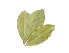 『ローレル』の葉の写真