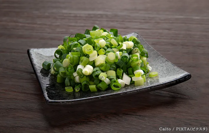 ネギの写真