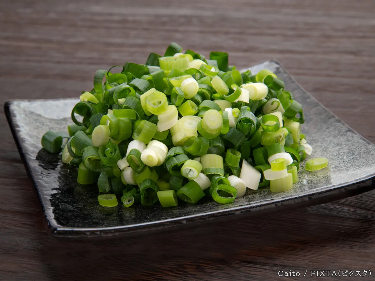 ネギの写真