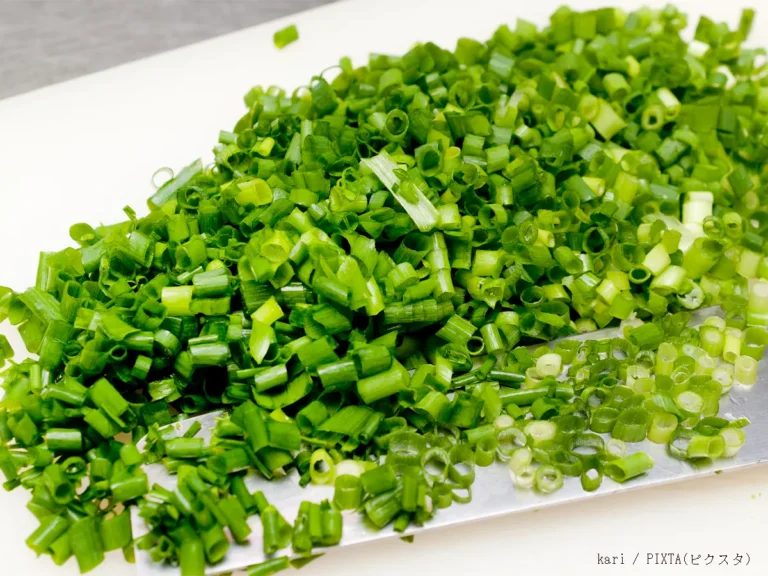 ネギの写真