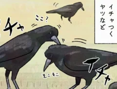 𝚙𝚒𝚛𝚘 𝚙𝚒𝚛𝚘 𝚙𝚒𝚌𝚌𝚘𝚕𝚘さんの漫画の画像