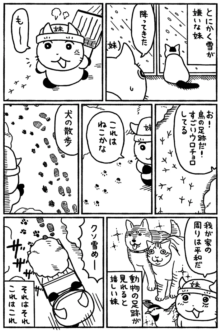 邑田さんの漫画の画像