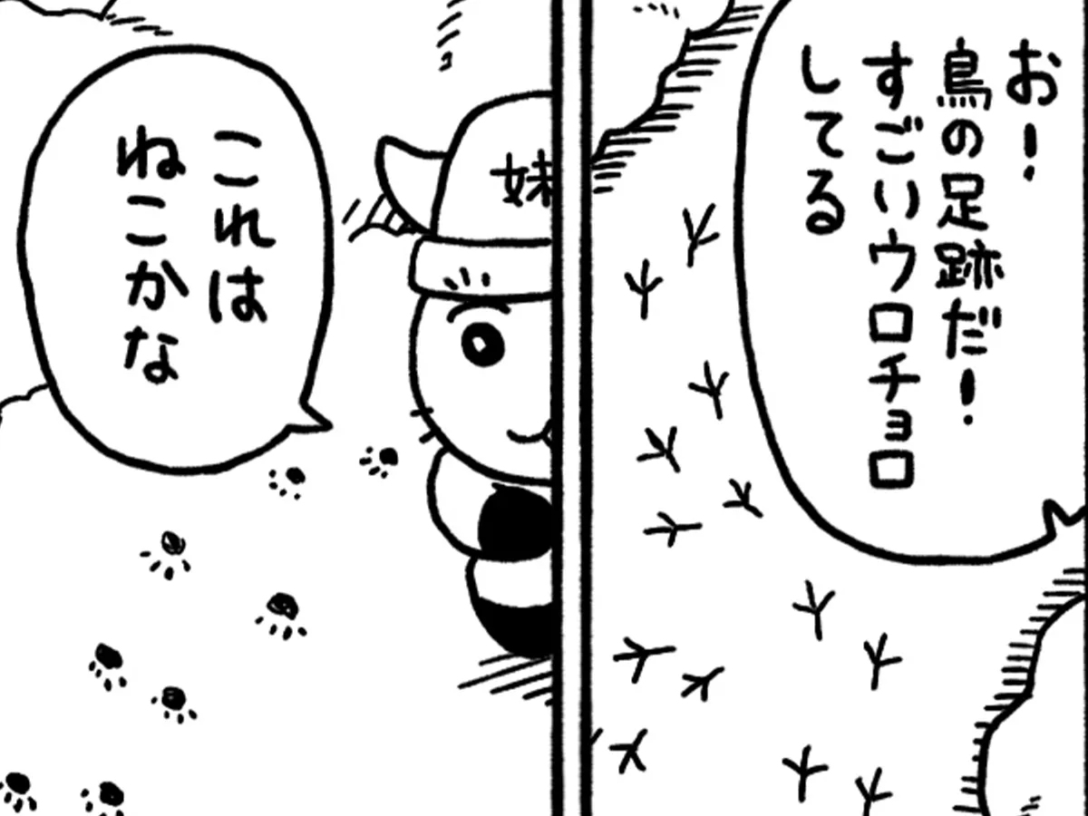邑田さんの漫画の画像