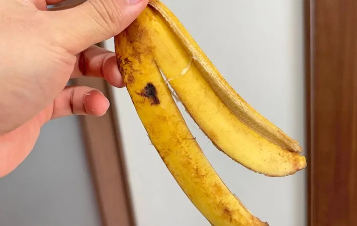 『バナナの皮』の写真（撮影：キジカク）