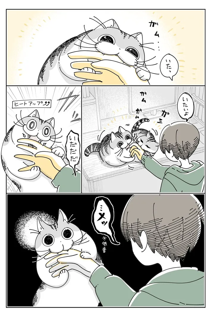 飼い主と猫の日常を描いたキュルZさんの漫画の写真