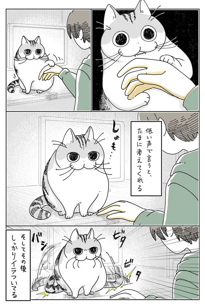 飼い主と猫の日常を描いたキュルZさんの漫画の写真
