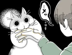 飼い主と猫の日常を描いたキュルZさんの漫画の写真