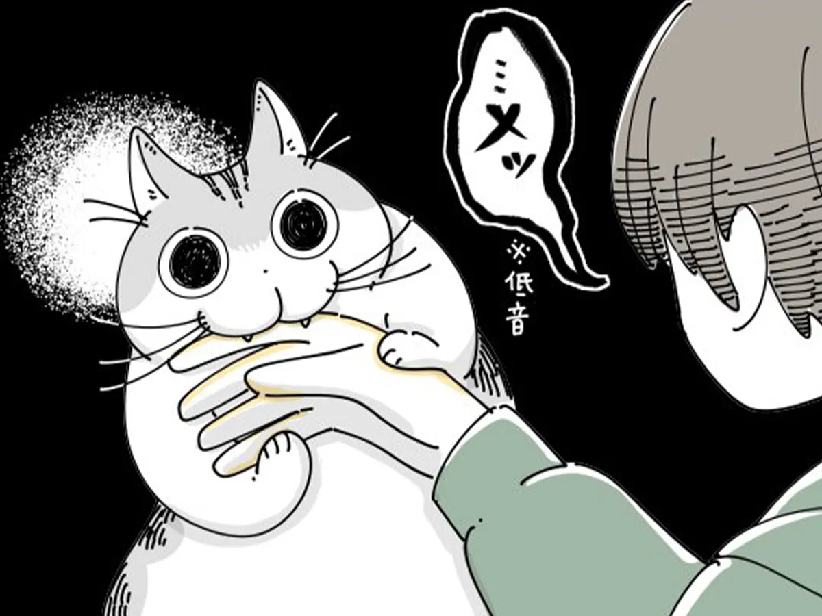 飼い主と猫の日常を描いたキュルZさんの漫画の写真