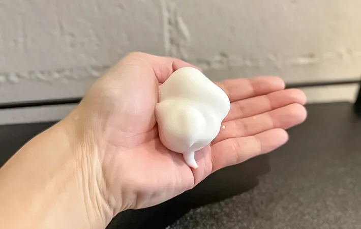 手のひらにのせた『ムース』の写真