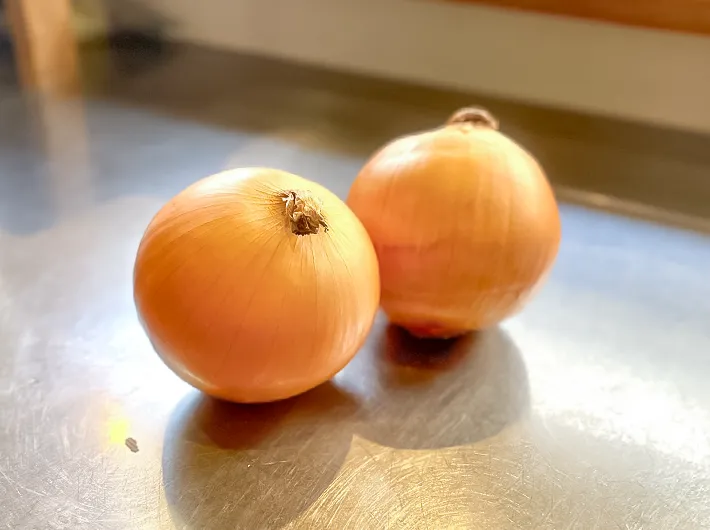 タマネギの写真