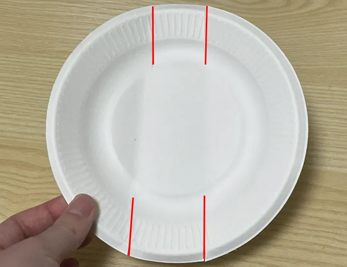 紙皿の写真（撮影：grapeライフハック編集部）
