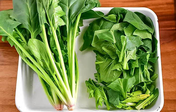 ほうれん草の写真（撮影：小泉明代）