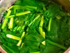 ほうれん草の写真（撮影：小泉明代）