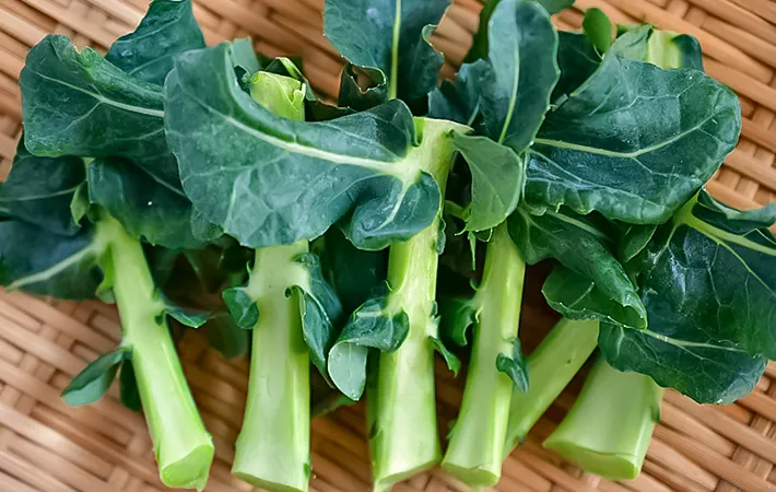 ブロッコリーの茎の写真（撮影：小泉明代）