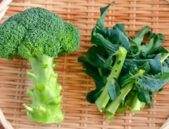 ブロッコリーの写真（撮影：小泉明代）