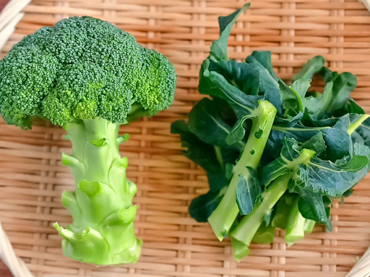 ブロッコリーの写真（撮影：小泉明代）