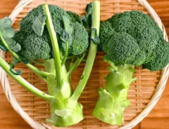 ブロッコリーの写真(撮影:小泉明代)
