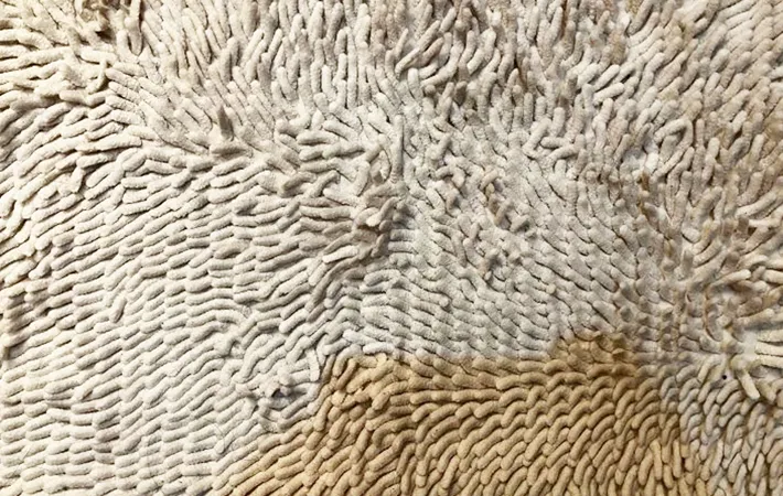 『モール素材のバスマット』の写真（撮影：Heulie）