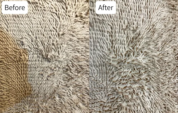 『バスマットの洗濯前後』の写真（撮影：Heulie）