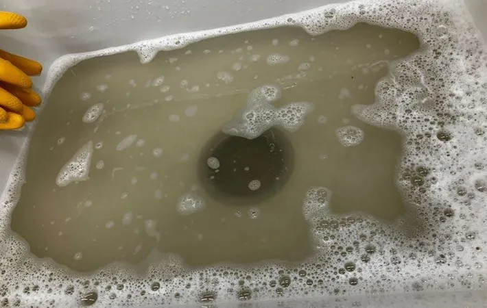 『スリッパをつけ置きした後の汚水』の写真（撮影：Heulie）