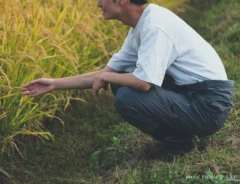 農業のイメージ写真