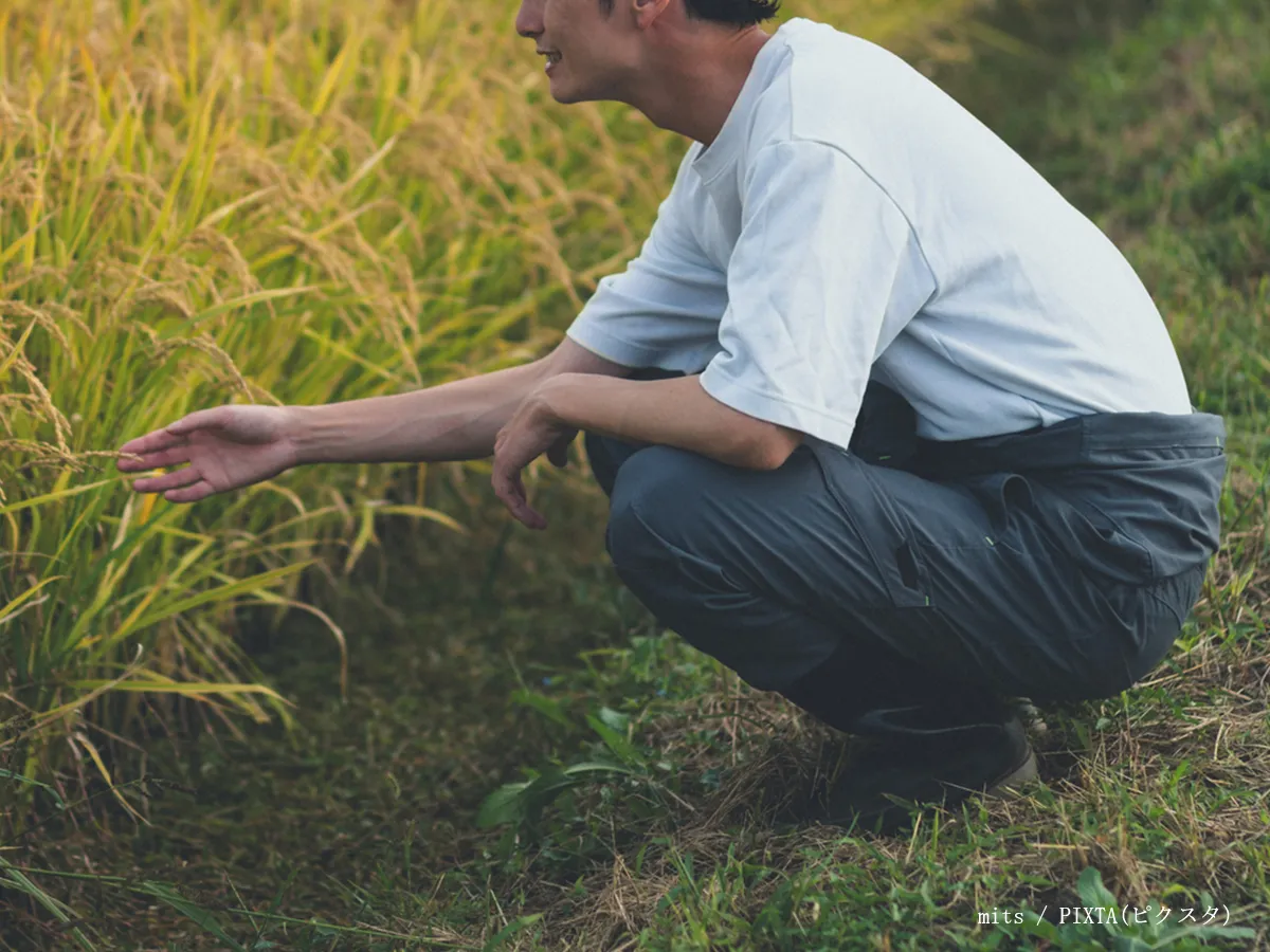 農業のイメージ写真