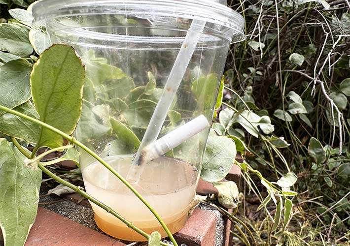 ゴミの写真（撮影：grape編集部）