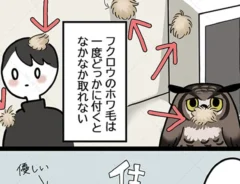 アフワシのアルタイルさんの画像