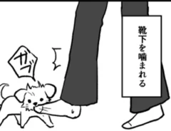 たついさんの漫画の画像