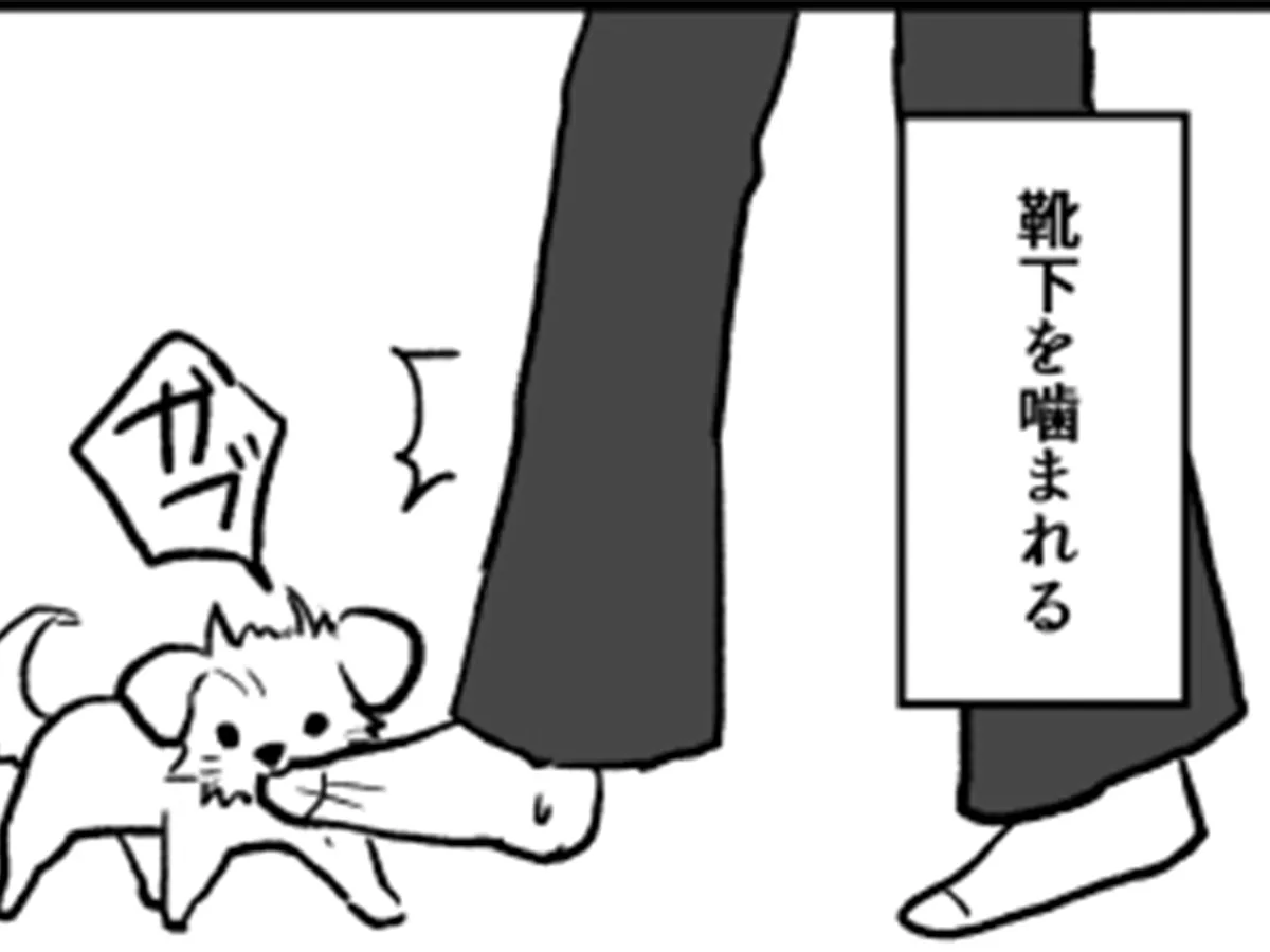 たついさんの漫画の画像